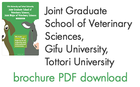 brochure PDF download