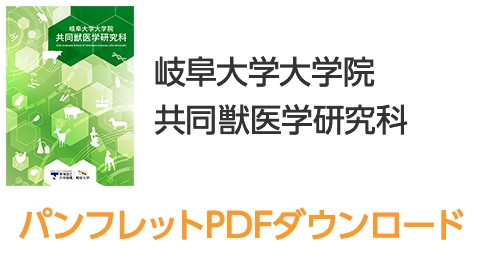 パンフレットPDFダウンロード