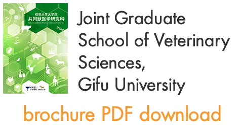 brochure PDF download