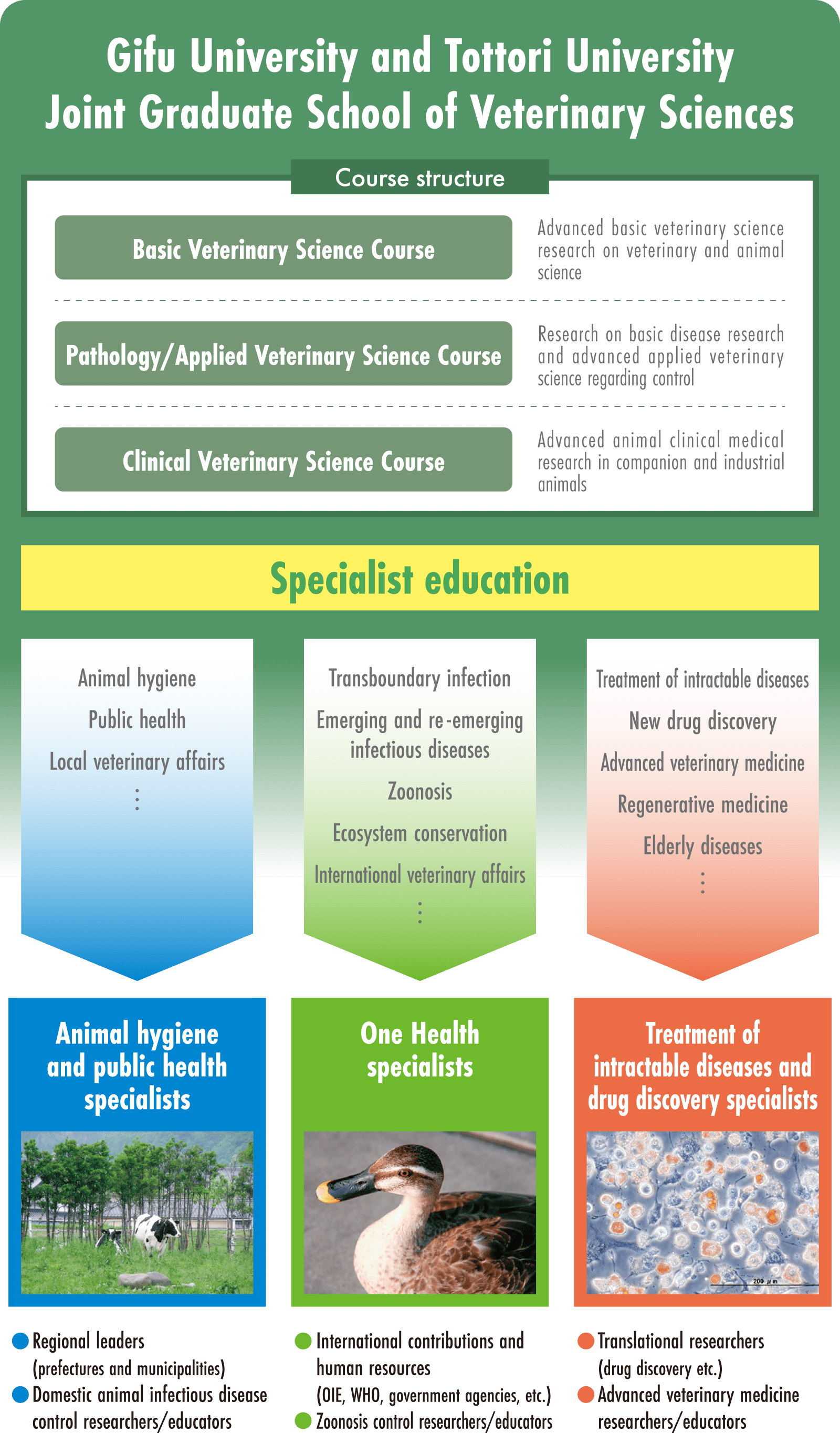 Spetialist Education